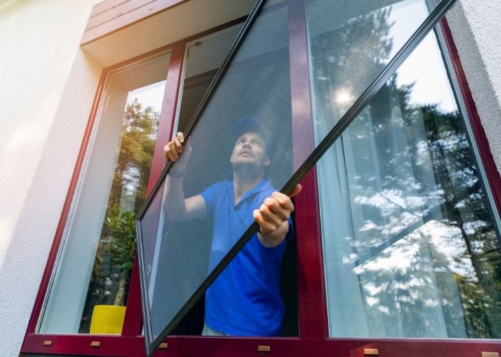 Сетки на окна израиль